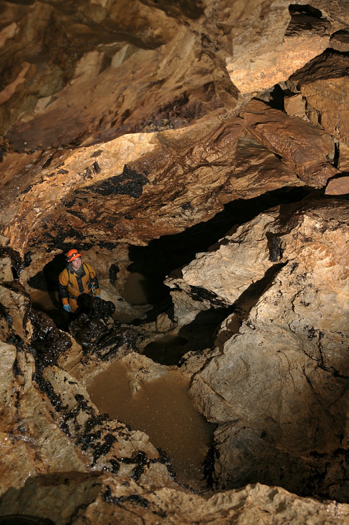Михаил Васильев | Междуреченск