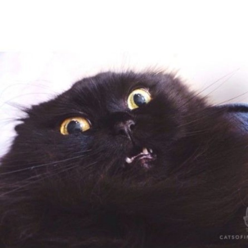 Лиза Сизова | Екатеринбург