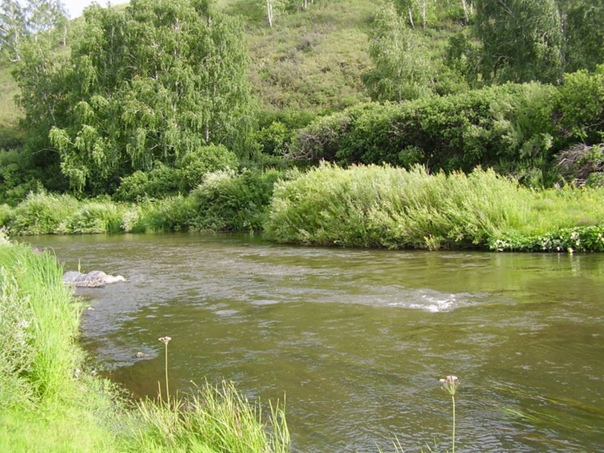 Фото: Река Уй весенний разлив. Фотолюбитель Александр Ткаченко. Панорама. Фотоса