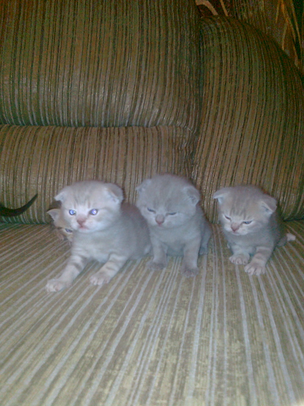 Кирилл Блинов | Новокузнецк