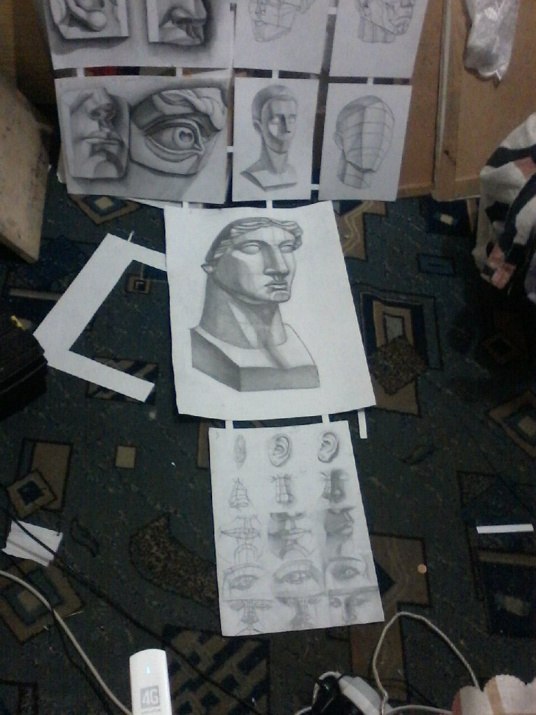 Антон Сорокин | Кострома