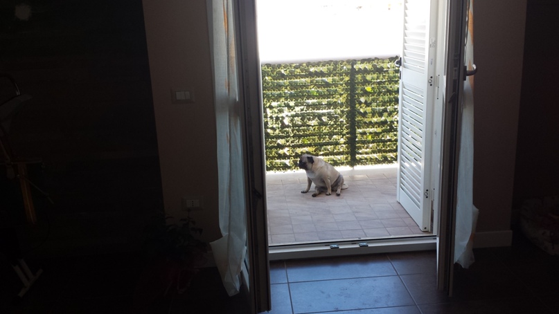 Elena Borisova | Napoli