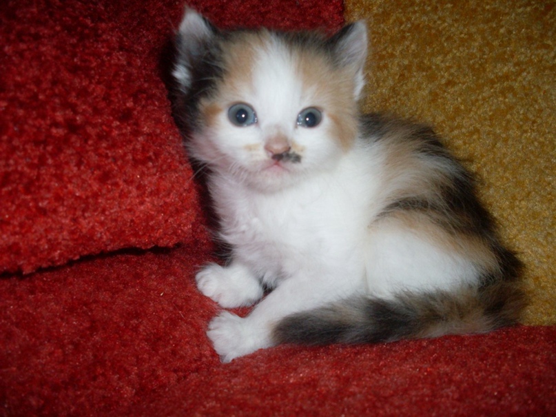 Александра Булычева | Салават