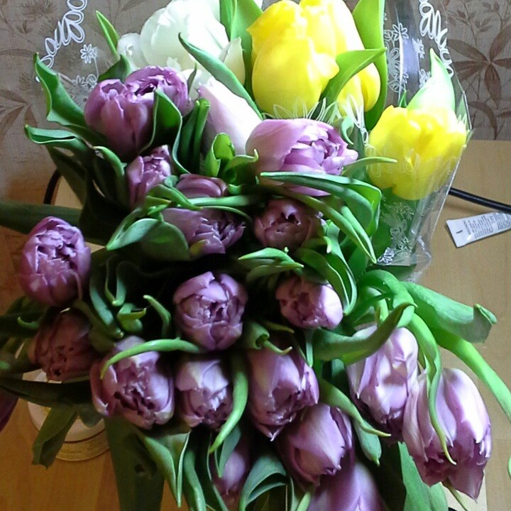 Наталья Гаврикова | Москва