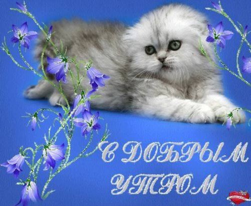Алёна Гурьянова | Новосибирск