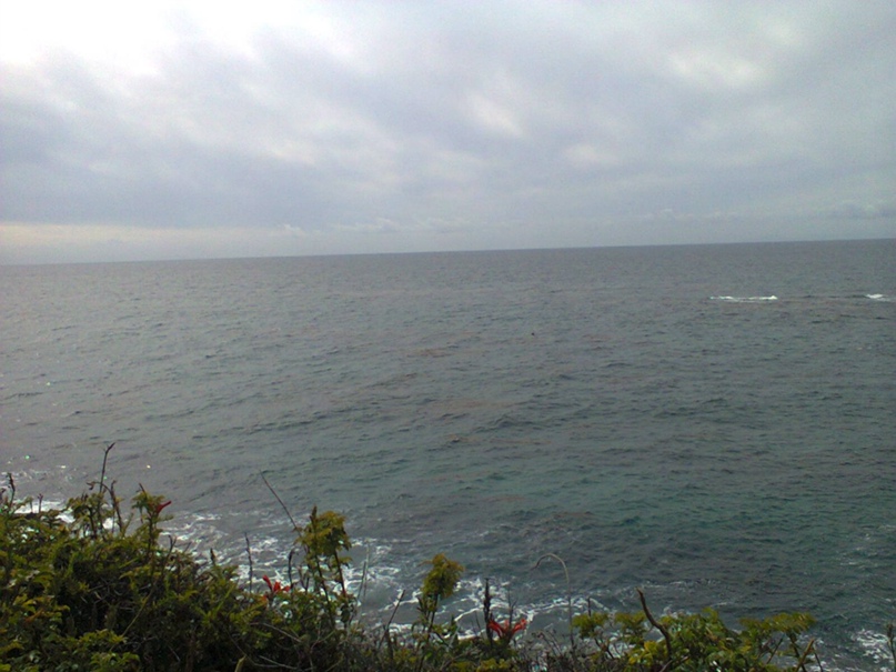 Наталья Пархоменко | Армавир