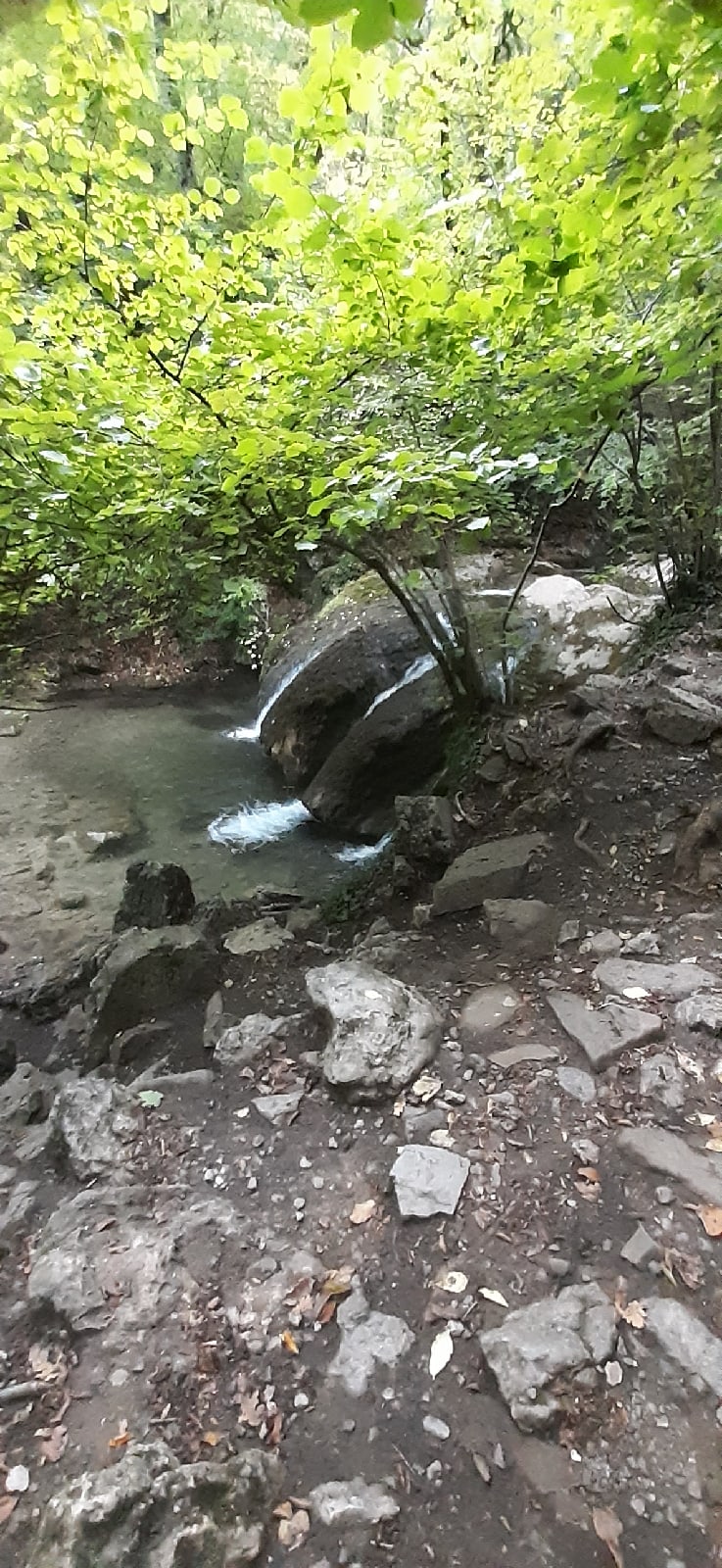 Ольга Денисенко | Судак