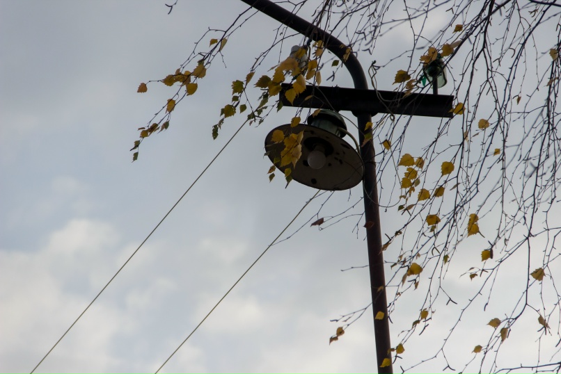 Нелли Павлова |