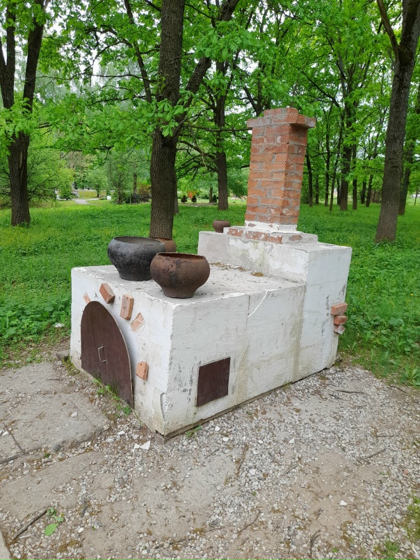 Елизавета Орлова | Санкт-Петербург