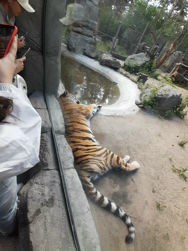 Александр Быстров | Томск