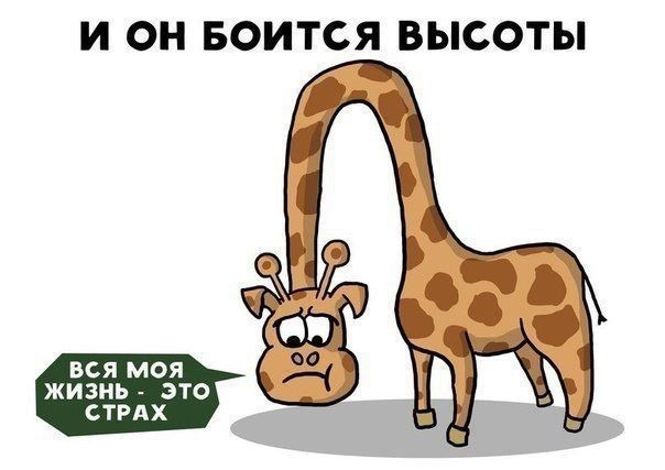 by Чилик