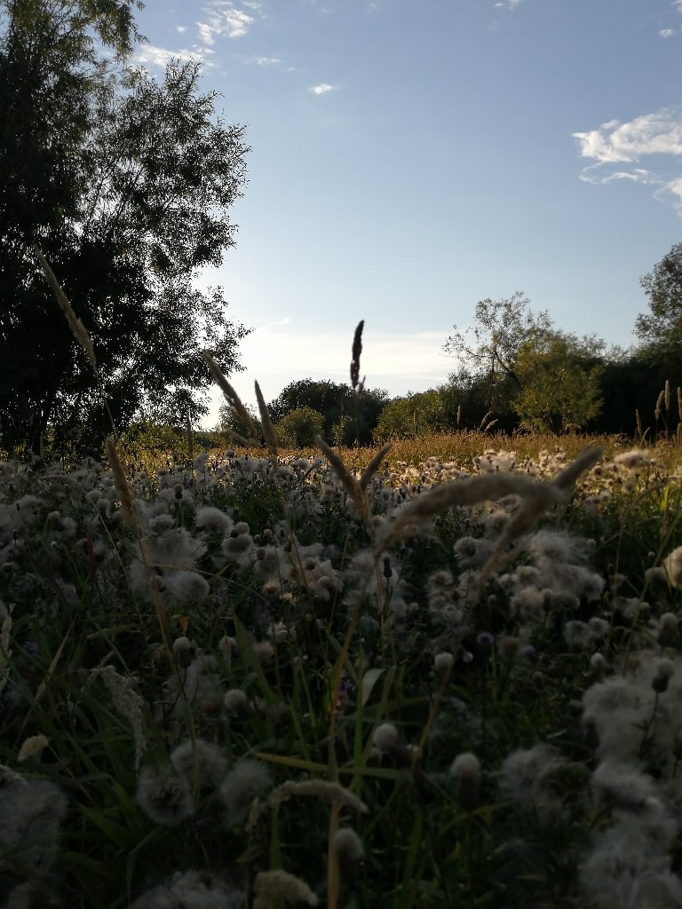 Ирина Крылова | Котлас