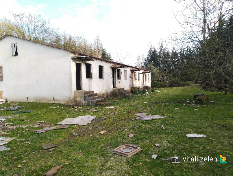 Витали Зелен | Кутаиси