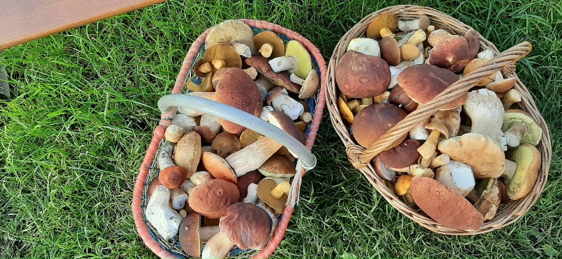 Андрей Лысенков | Гатчина