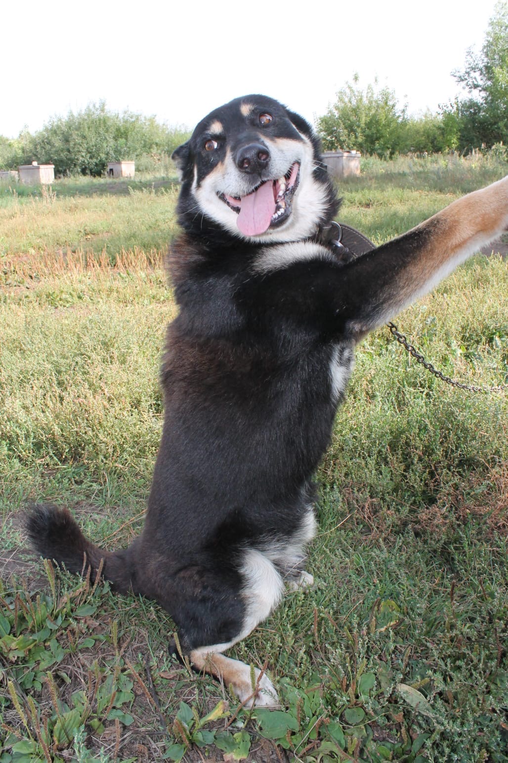Друзья и гости группы ❗️
РЕКСА перезаписали на
