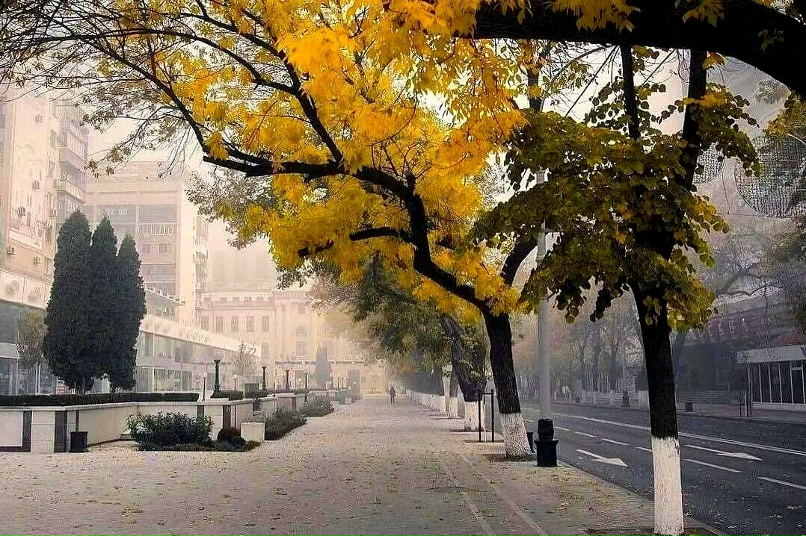 Краснодар в октябре фото Краснодар в октябре фото