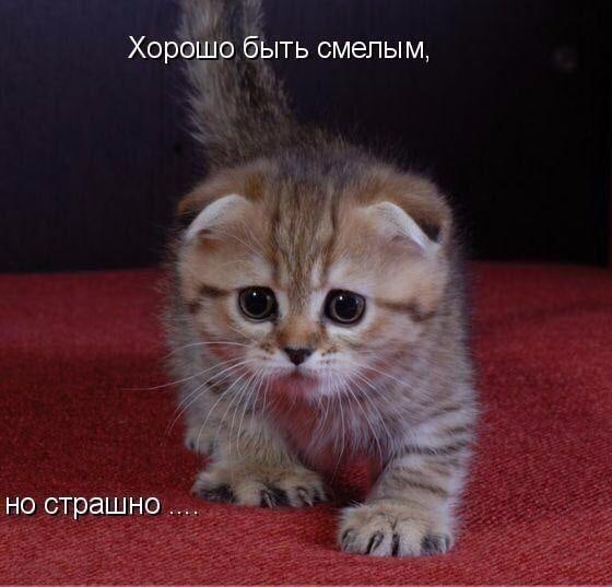 Татьяна Литвинчук | Тверь