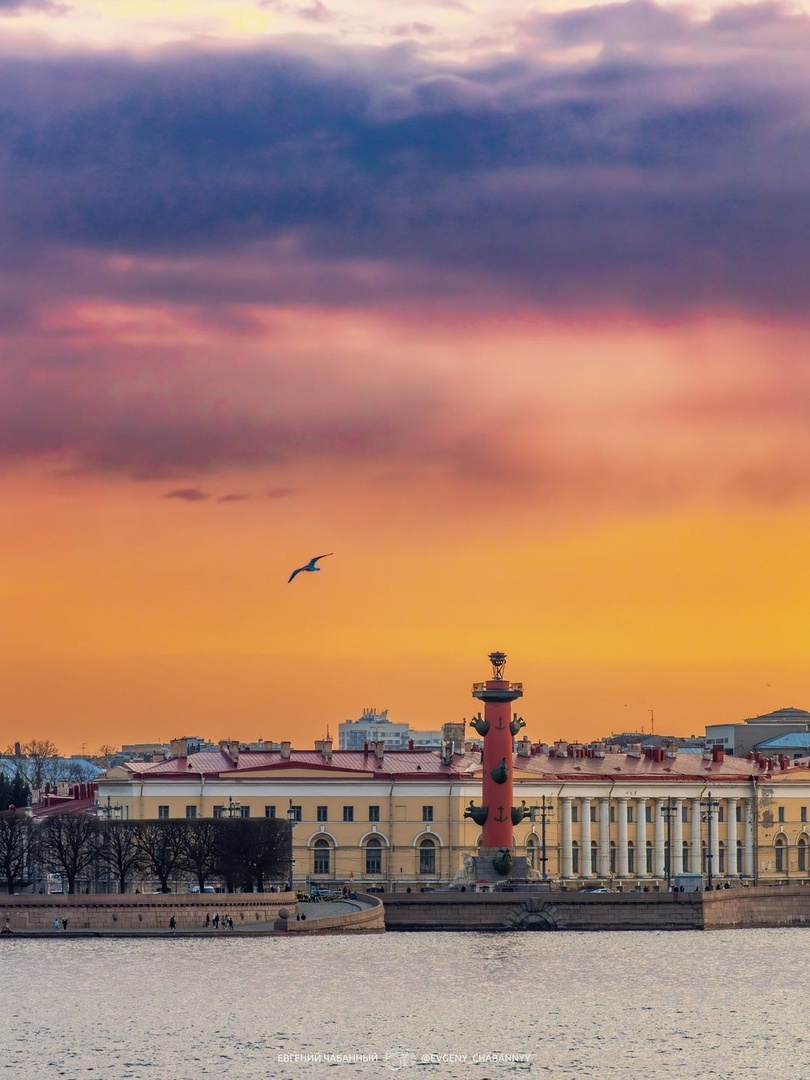 Питер смотреть фото Питер смотреть фото