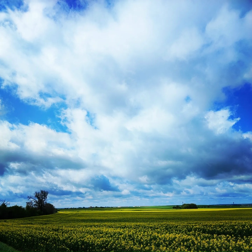 Надежда Колесова | Минск