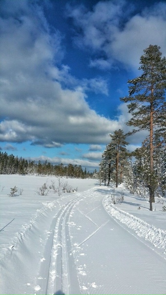 Доброй ночи, Никольск❤