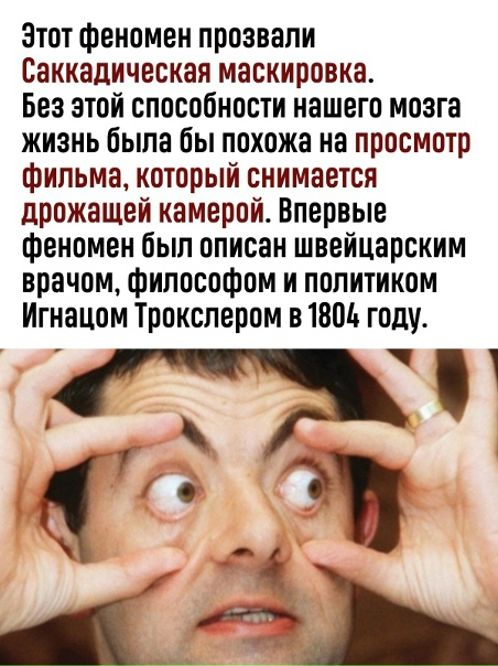 Наш мозг заботится о нас