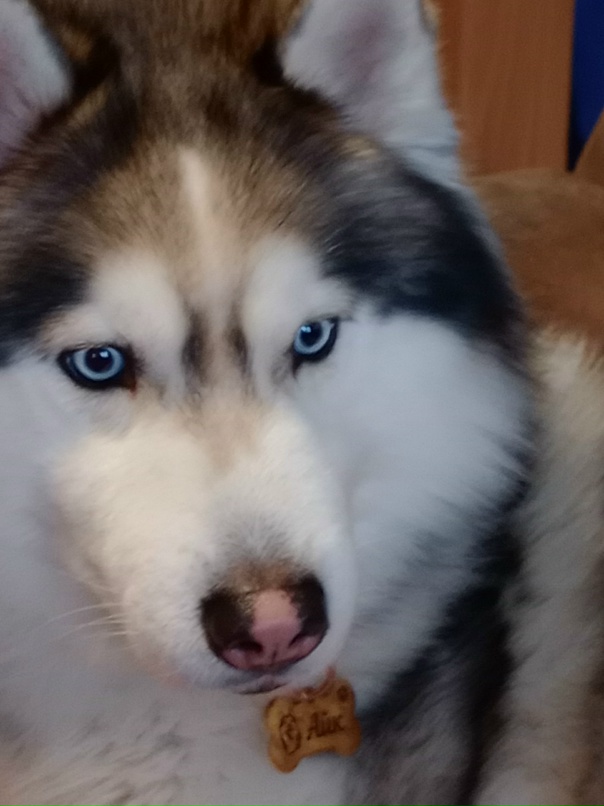 Константин Щербаков |