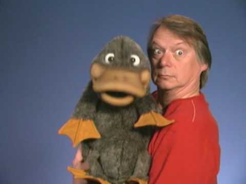 The P P Platypus Song by Steve warning its