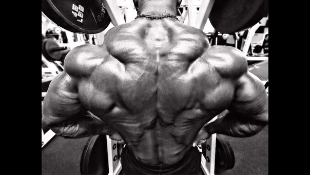 Bodybuilding Motivation