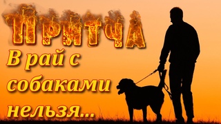 Притча Врата в Рай. Мудрая и поучительная притча. Пламя мудрости.