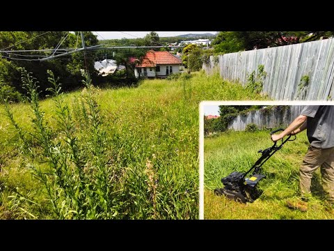 Extremely Overgrown Lawn Mowing With Push