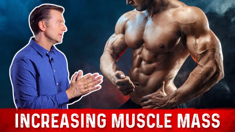 Increasing Muscle Mass (myofibrillar hypertrophy) Dr.