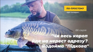 “Чи весь короп йде на нерест одразу? Водойма “Підкова“. По-простому Про Складне №66