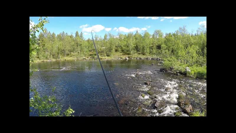 В ПОИСКАХ КУМЖИ И ФОРЕЛИ, In SEARCH of TROUT AND