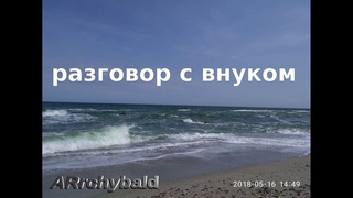 Разговор с внуком ( Самуил Маршак. стихи ) К чему тебе война
