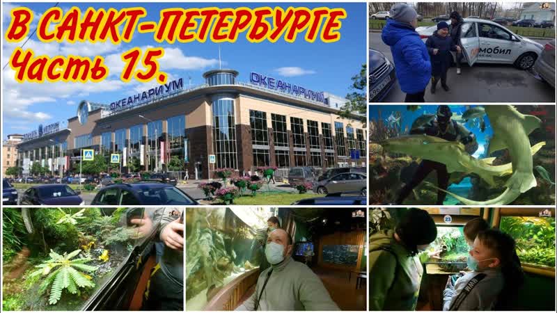 Поехали в ОКЕАНАРИУМ, Санкт Петербург 2021, ,Отпуск всей