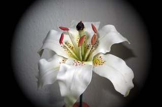 Fiori in pasta di zucchero: Gum paste Giglio/Lilium - Le Torte Di Marta-Il Giglio-Petali Parte2