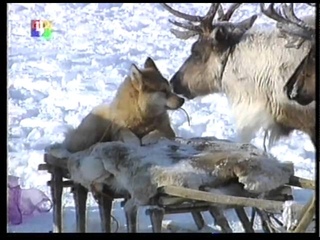 Нарьян-Мар ТВЦ 2006