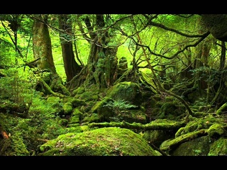 Shulman - The Unexpected Visitor (Zymosis rmx) demo