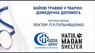 Боевые травмы животных: домедицинская помощь / Бойові травми тварин: домедична допомога