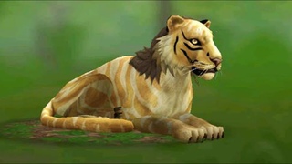 Как вырастить тигренка в WildCraft