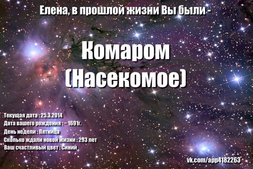 Елена Перегудова | Воронеж