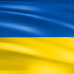 Blue Flower - видео и фото