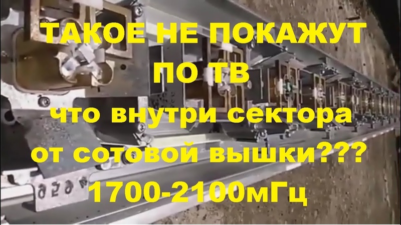 Что внутри сектора от сотовой