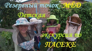 Отбираем мед на резервным точке.  Детская экскурсия по пасеке.