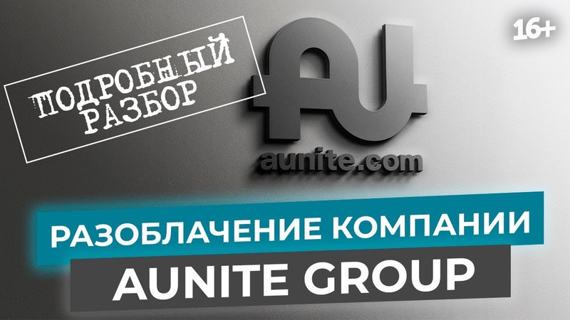 Подробный разбор бизнеса в Aunite