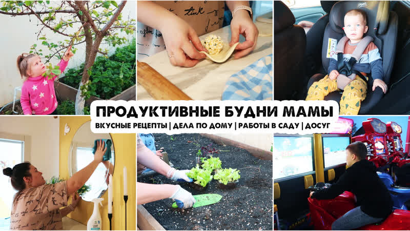 Степа освоился Дела по дому, Секреты омлета, Вкуснейшие