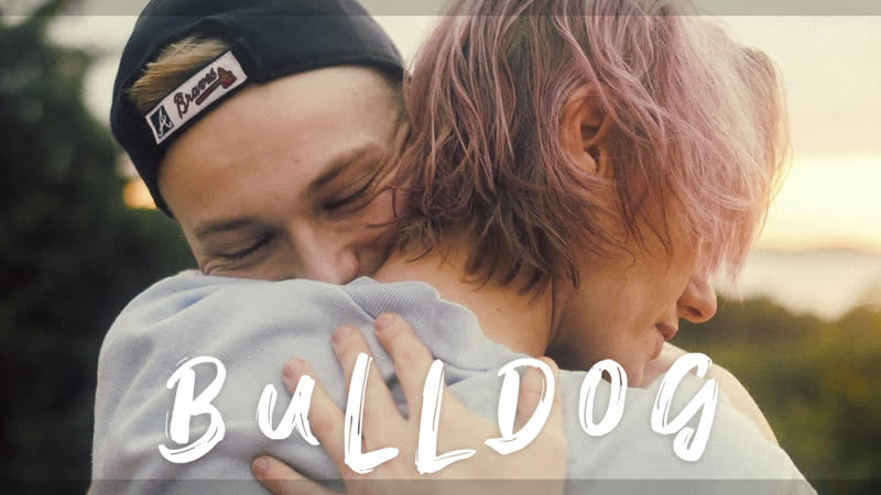 Бульдог, Bulldog