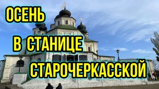 Осенняя Станица Старочеркасская/На пляже в ноябре полно людей/Коза чуть не испортила технику