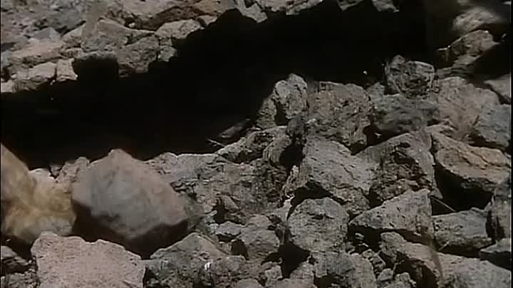 Библейские сказания:03. Иаков. Сразившийся с Ангелом (1994)