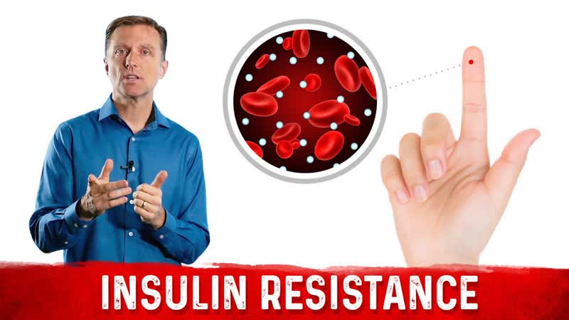 Understanding Insulin Resistance What You Can Do About